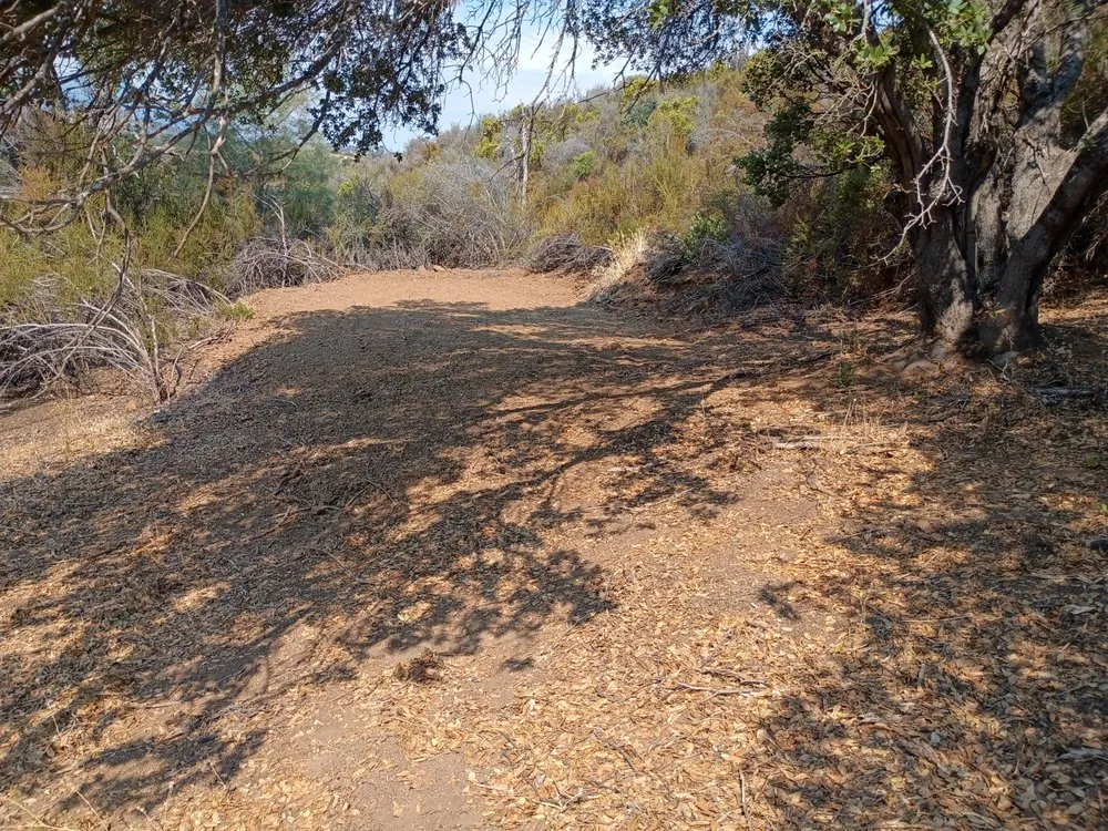 Local garden landscaping near you in Clearlake, CA by Greenlee Skid Steer