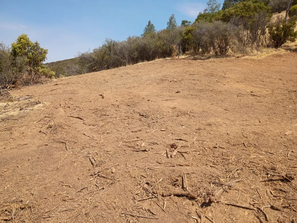 Affordable lawn care service for year-round maintenance across Clearlake, CA - Greenlee Skid Steer