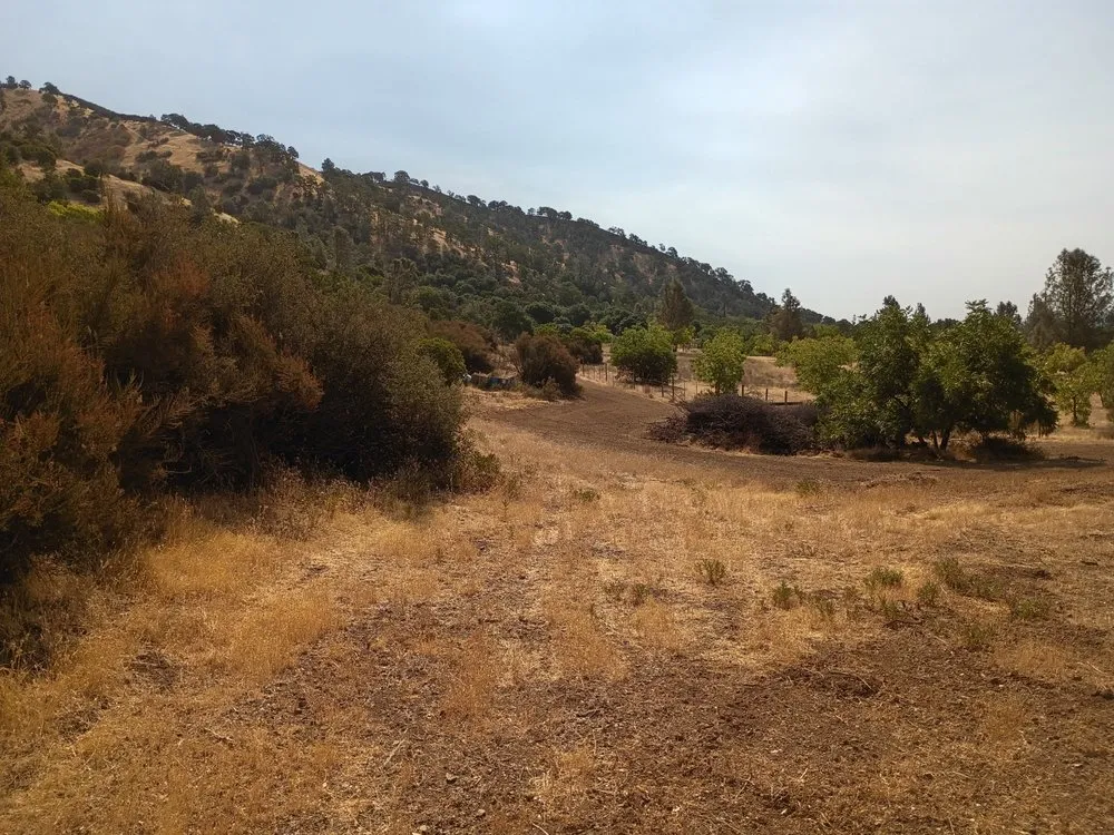 Trusted lawn mowing service in Clearlake, CA - Greenlee Skid Steer