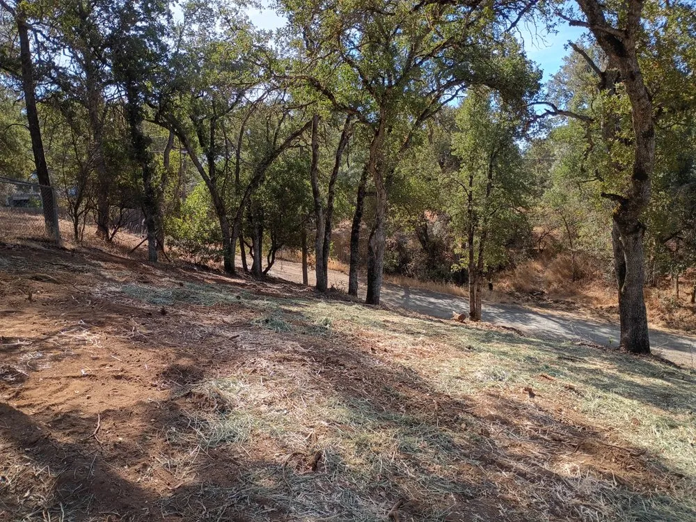 Local yard cleanup service in Clearlake, CA - Greenlee Skid Steer