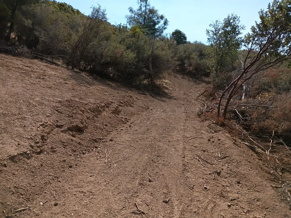 Trusted outdoor landscaping for year-round maintenance across Clearlake, CA - Greenlee Skid Steer