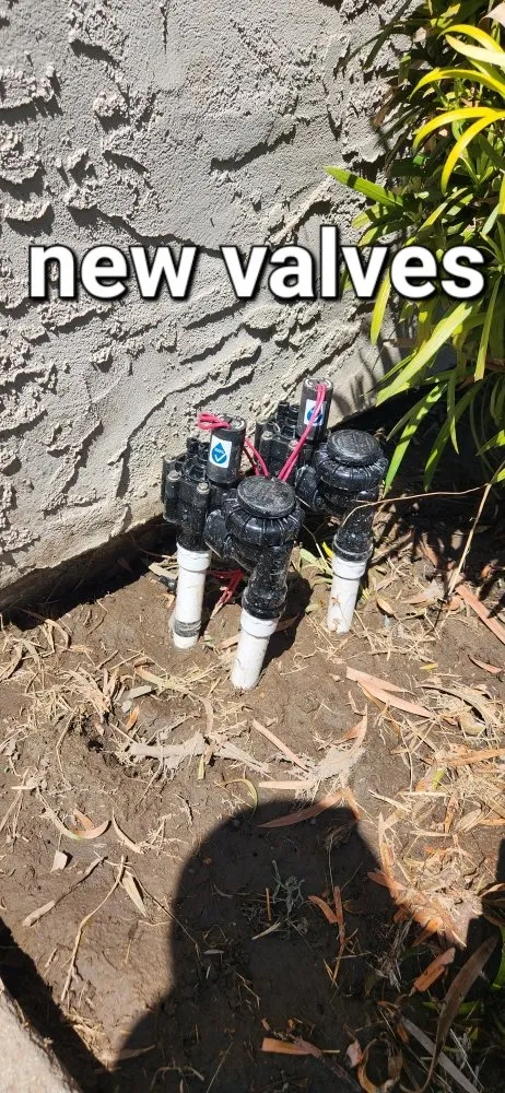 Reliable landscaping services in Gilroy, CA by Greenlife Garden Maintenance