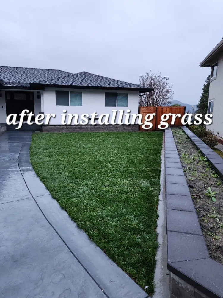 Top-rated lawn care service for residential properties across Gilroy, CA - Greenlife Garden Maintenance