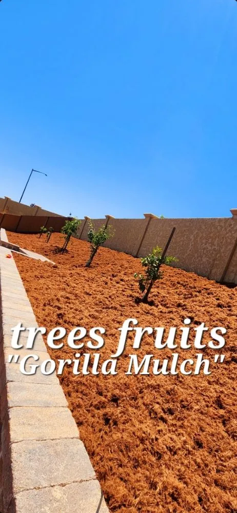 Top-rated outdoor landscaping in Gilroy, CA - Greenlife Garden Maintenance