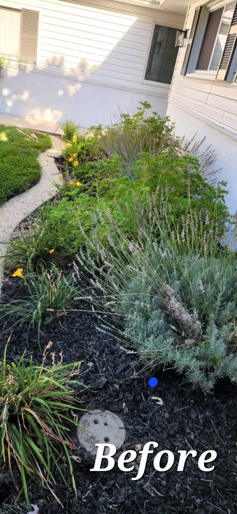 Expert yard cleanup service experts serving Gilroy, CA - Greenlife Garden Maintenance