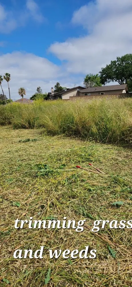 Local yard maintenance in Gilroy, CA by Greenlife Garden Maintenance