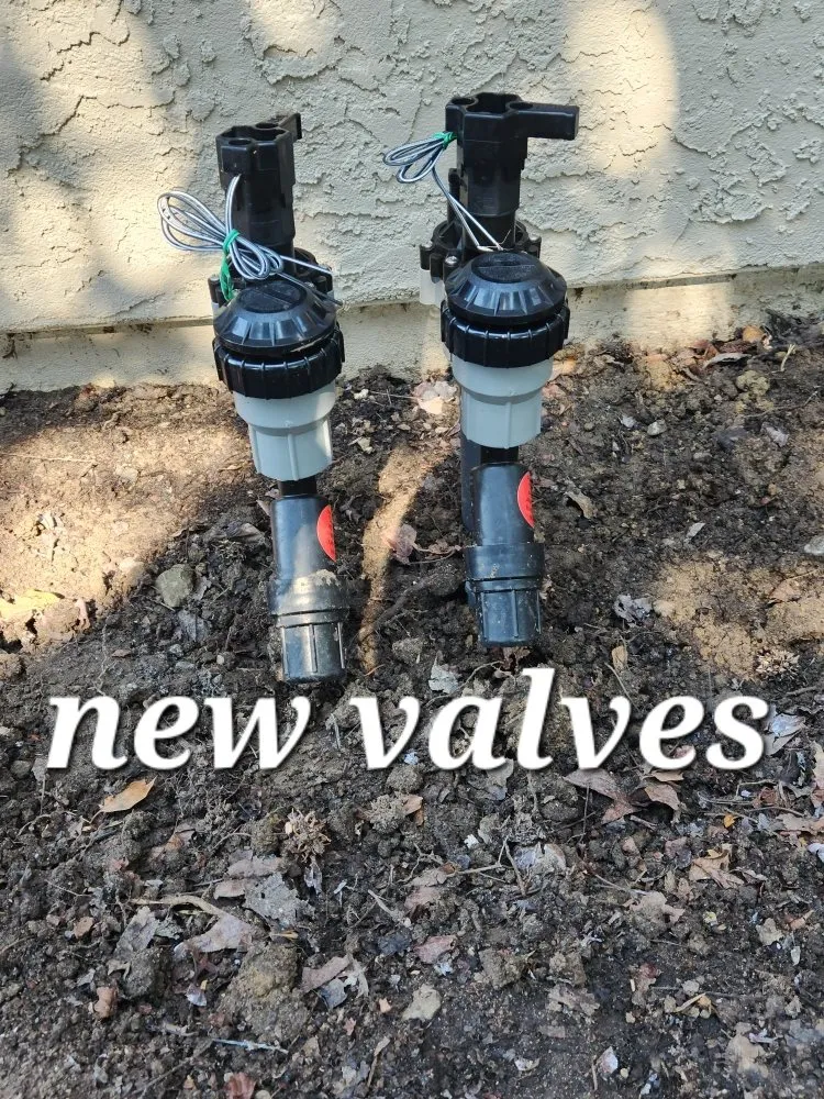 Affordable landscape installation experts serving Gilroy, CA - Greenlife Garden Maintenance