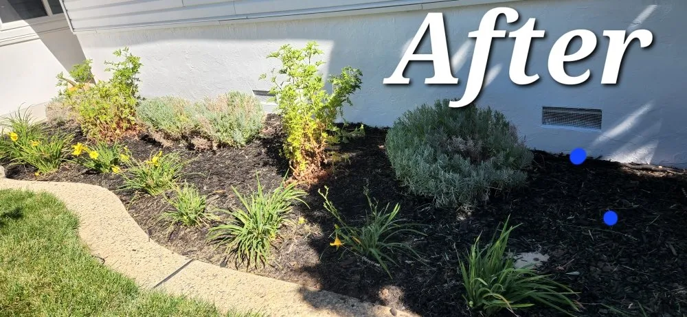 Custom lawn care service in Gilroy, CA - Greenlife Garden Maintenance