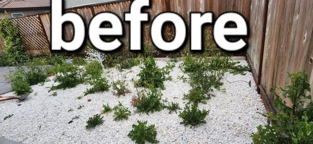 Local outdoor landscaping in Gilroy, CA by Greenlife Garden Maintenance