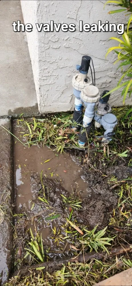 Trusted landscaping services experts serving Gilroy, CA - Greenlife Garden Maintenance