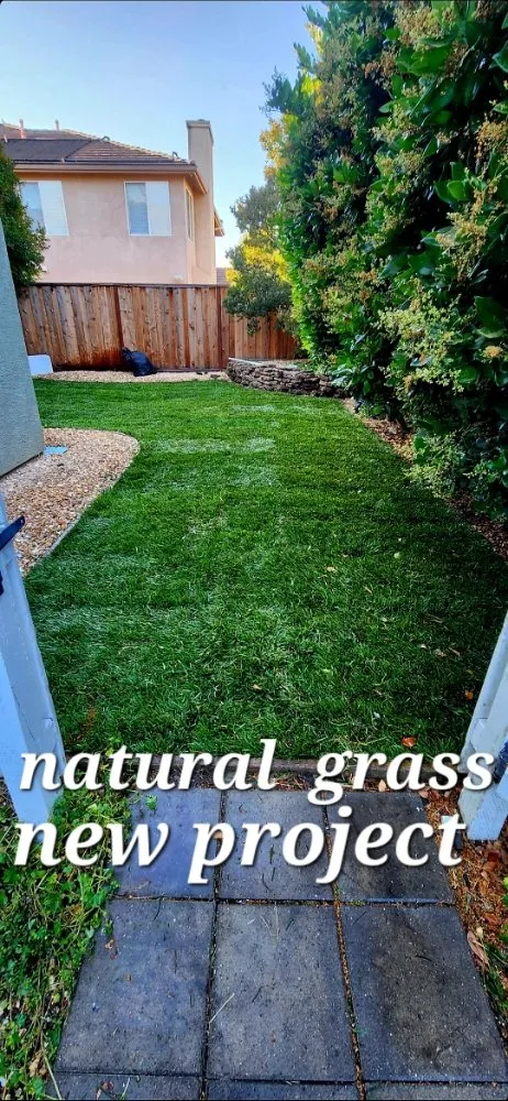 Affordable garden landscaping in Gilroy, CA by Greenlife Garden Maintenance