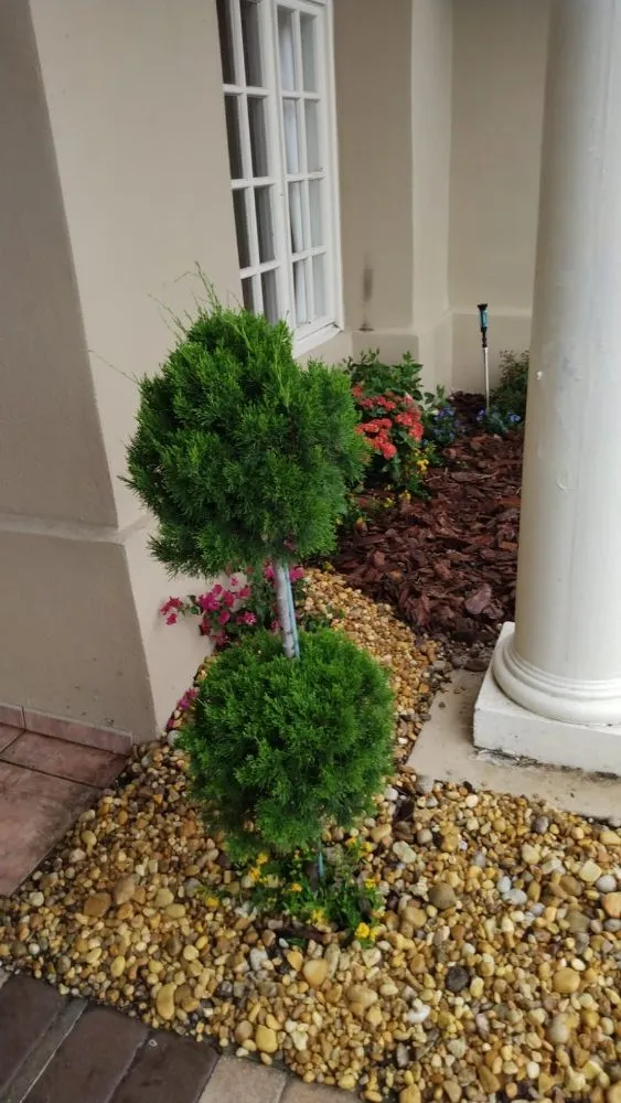 Top-rated landscape design near you across Orlando, FL - Greenlife Garden