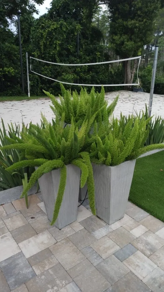 Reliable yard cleanup service in Orlando, FL by Greenlife Garden