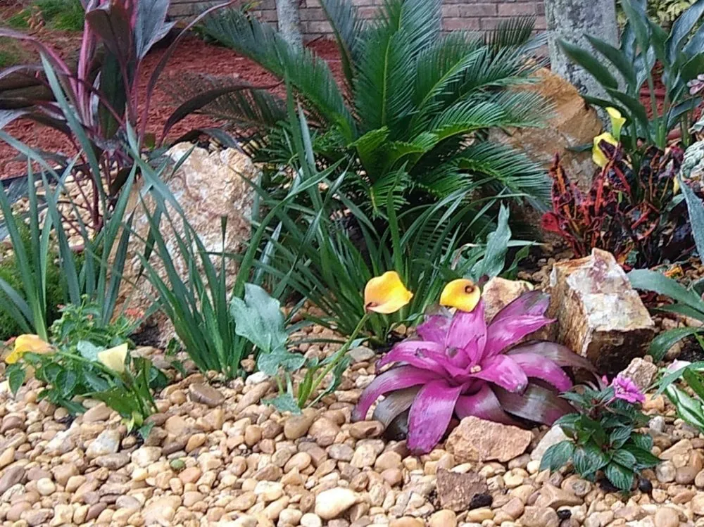 Top-rated landscape design in Orlando, FL - Greenlife Garden