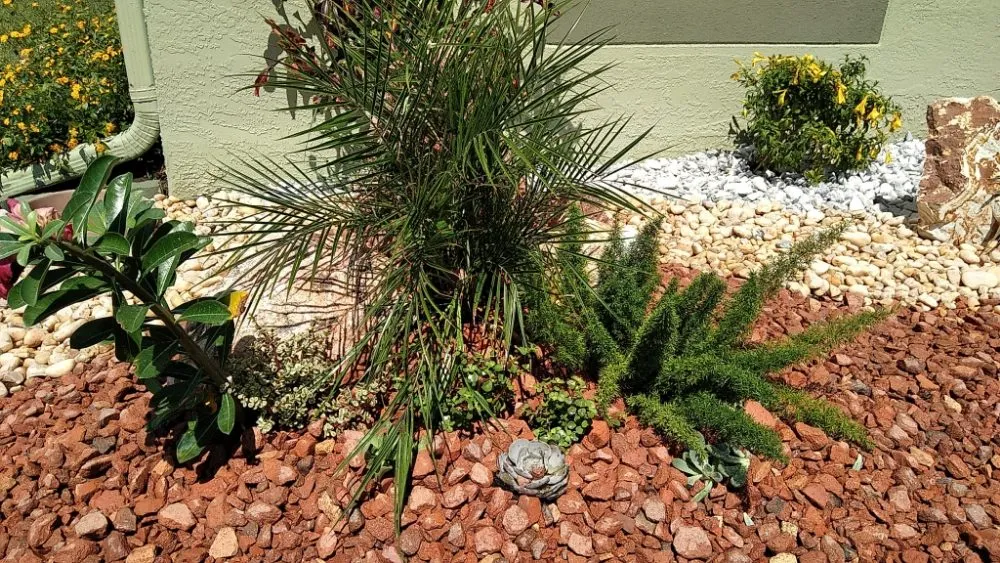 Expert residential landscaping in Orlando, FL by Greenlife Garden