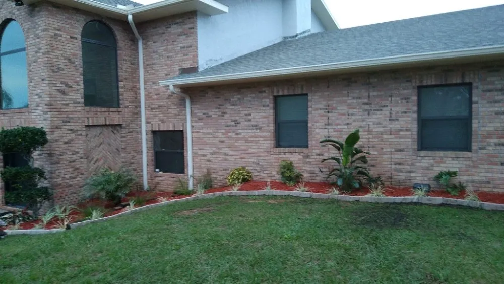 Local yard cleanup service experts serving Orlando, FL - Greenlife Garden