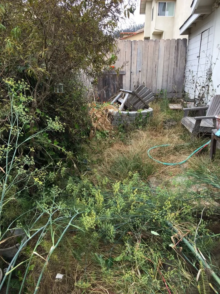 Affordable garden landscaping experts serving Cambria, CA - Greenlife Gardening