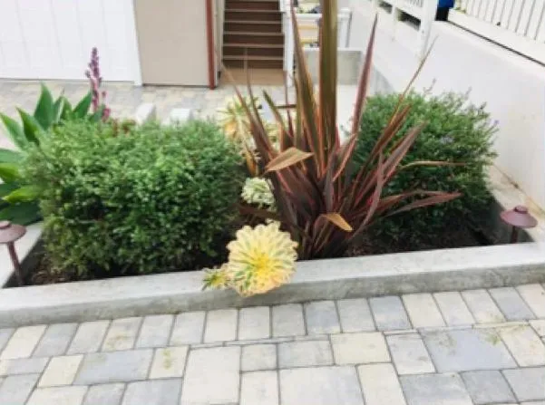 Reliable lawn care service experts serving Cambria, CA - Greenlife Gardening