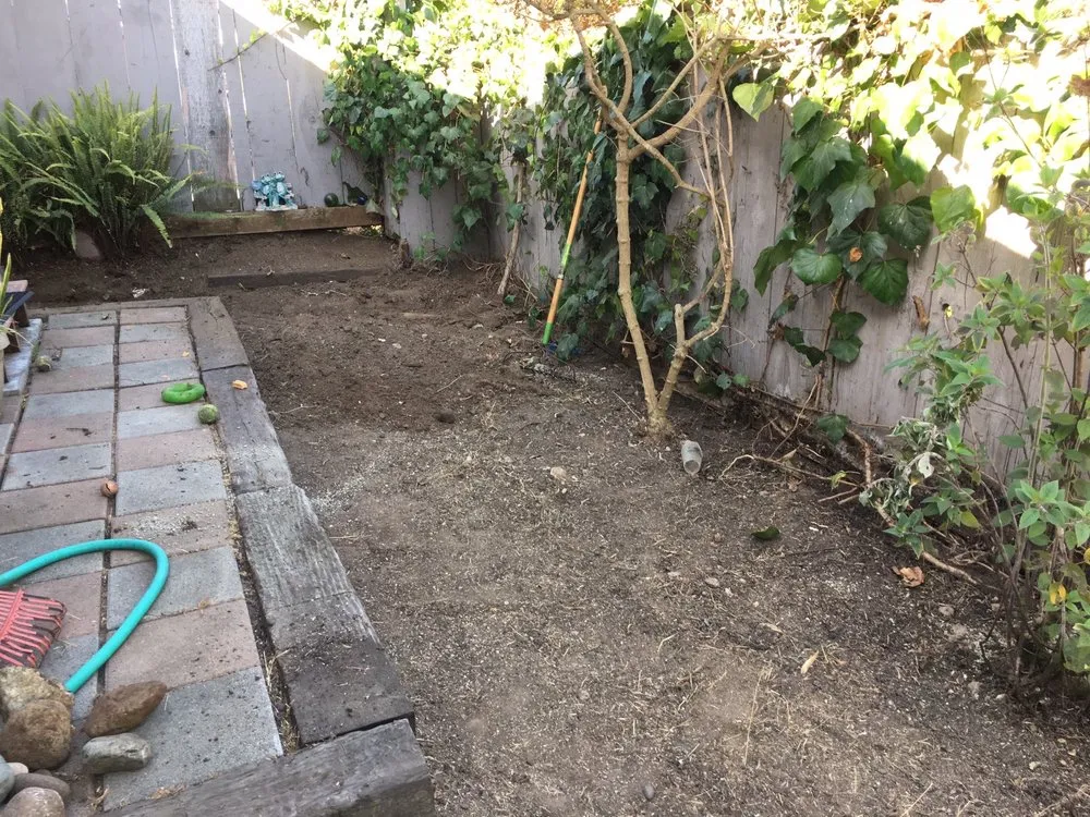 Top-rated lawn care service for homes across Cambria, CA - Greenlife Gardening