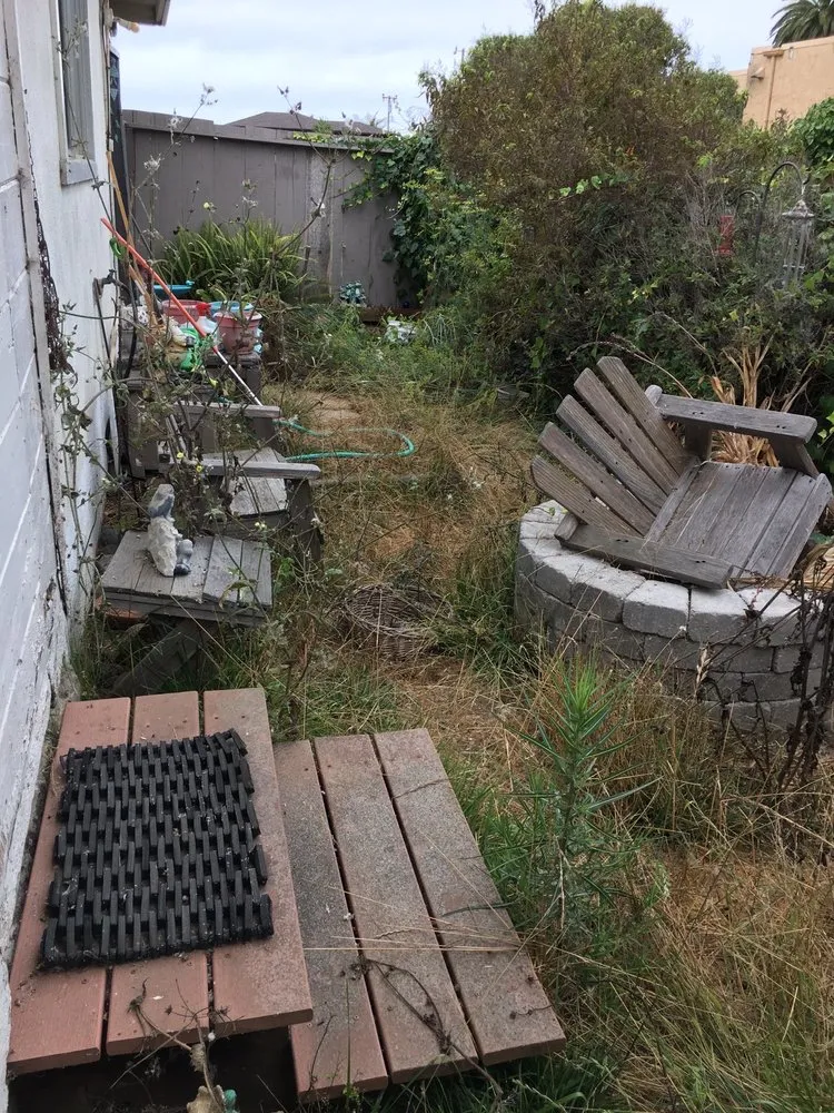 Trusted yard cleanup service in Cambria, CA by Greenlife Gardening