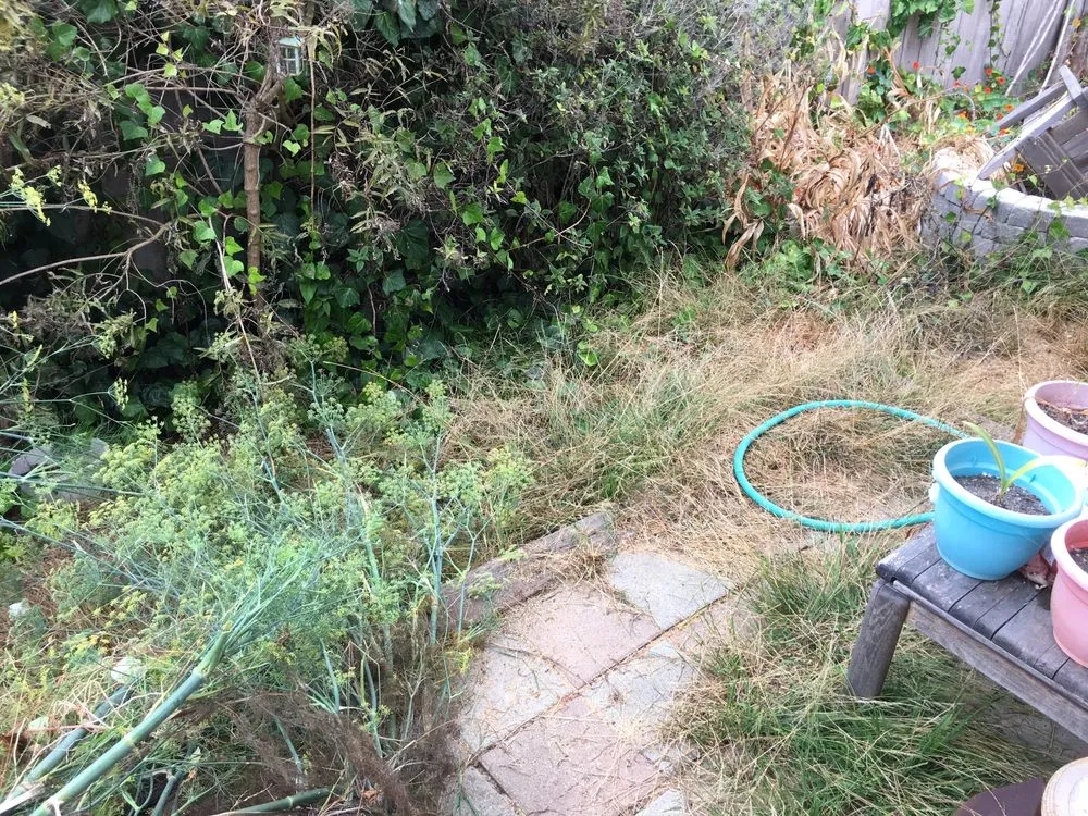 Professional residential landscaping experts serving Cambria, CA - Greenlife Gardening