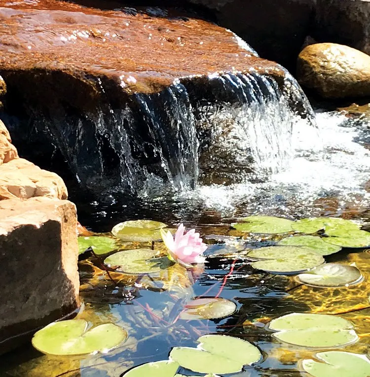 Affordable landscape installation for homes in Papillion, NE by Greenlife Gardens