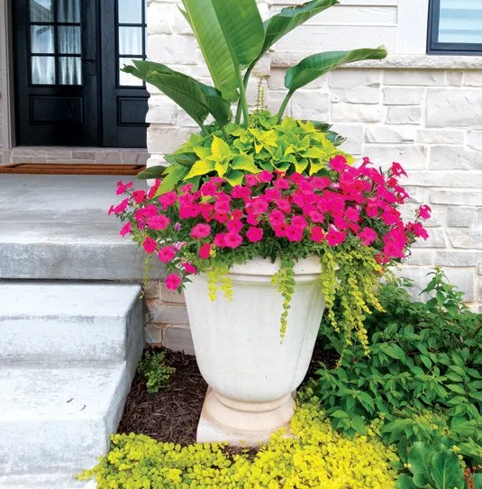 Professional yard maintenance for outdoor upgrades in Papillion, NE by Greenlife Gardens