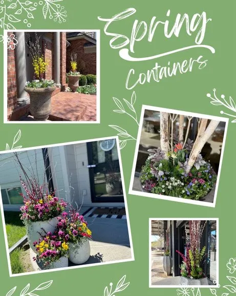 Reliable lawn mowing service in Papillion, NE by Greenlife Gardens