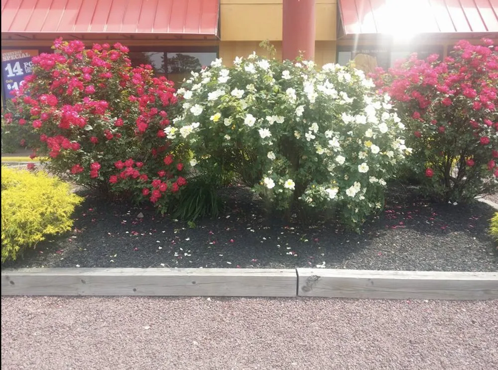 Professional lawn mowing service experts serving Camden, NJ - Greenlife Improvement Service