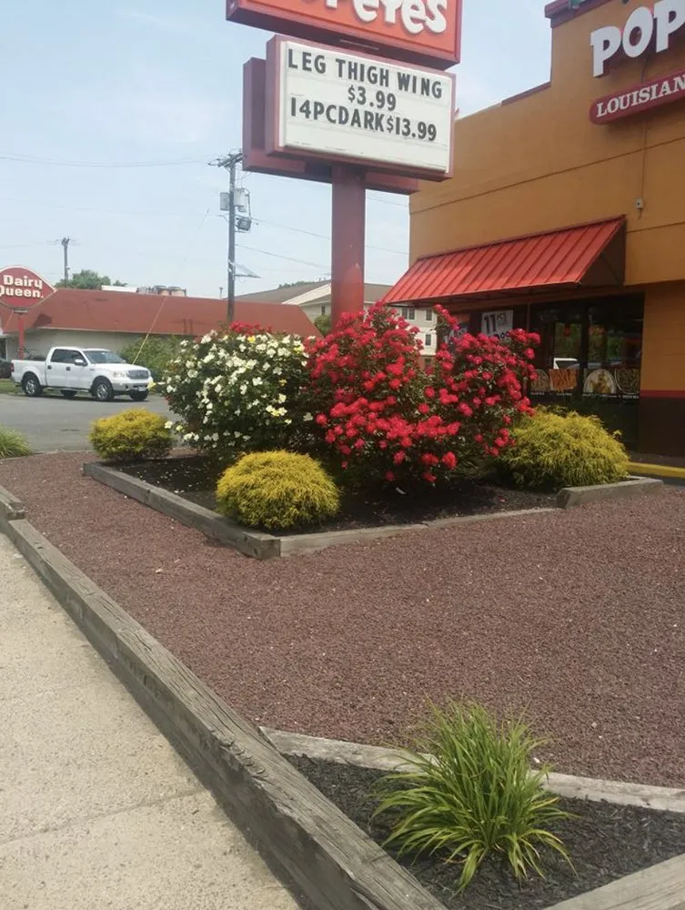 Top-rated yard cleanup service experts serving Camden, NJ - Greenlife Improvement Service