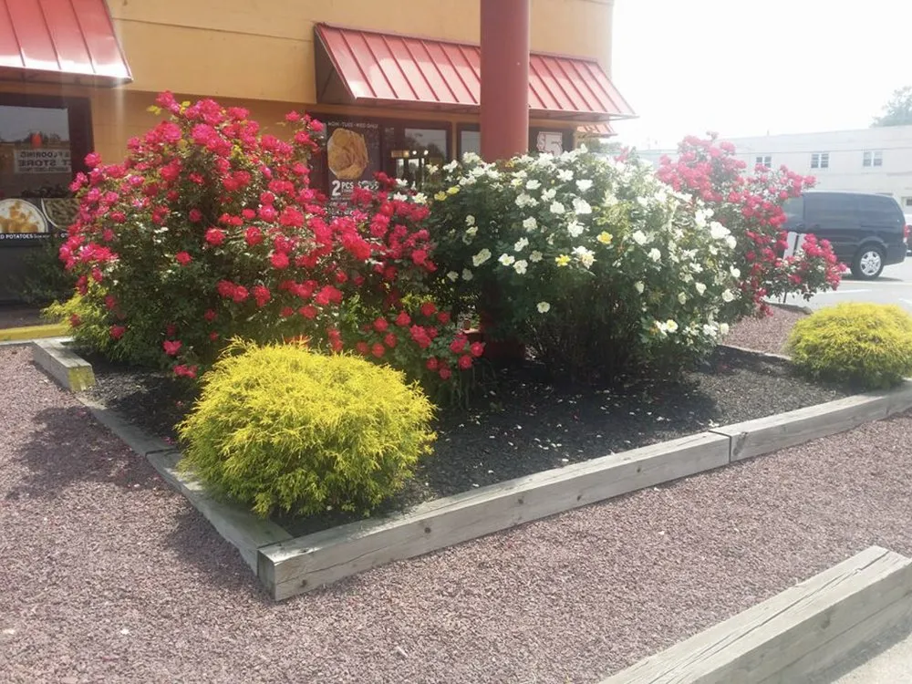 Custom landscaping services in Camden, NJ - Greenlife Improvement Service