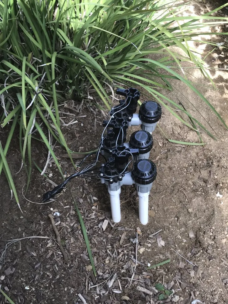 Top-rated garden landscaping experts serving Perris, CA - Greenlife Landscape