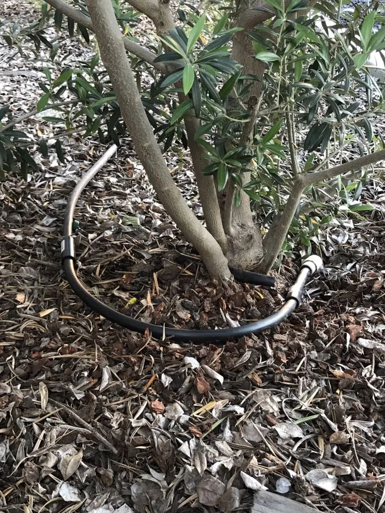 Top-rated yard maintenance in Perris, CA - Greenlife Landscape