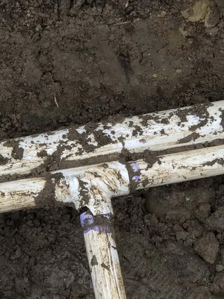 Reliable landscape installation experts serving Perris, CA - Greenlife Landscape