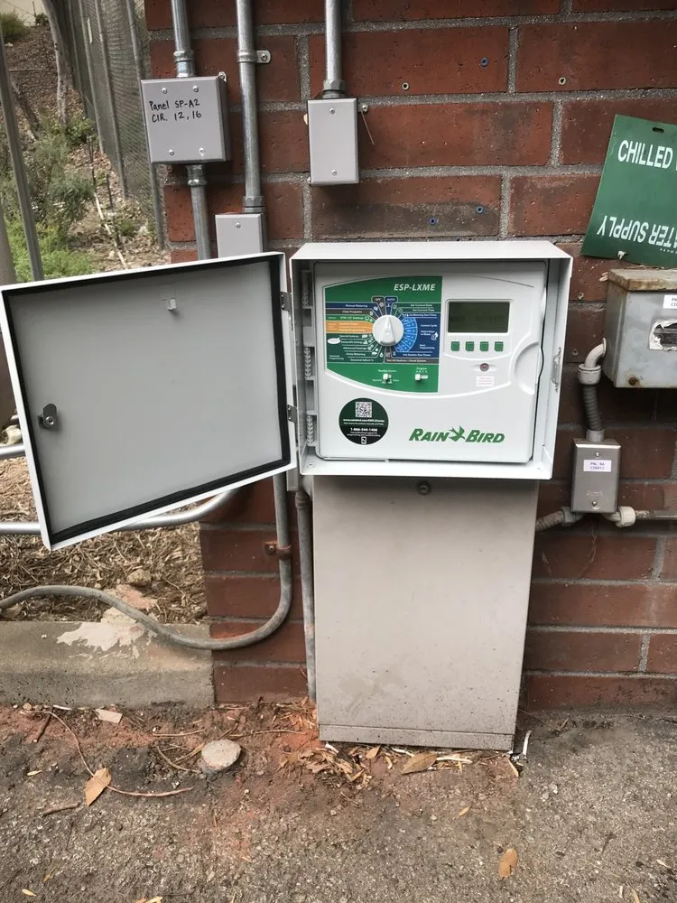 Local lawn care service for year-round maintenance in Perris, CA by Greenlife Landscape