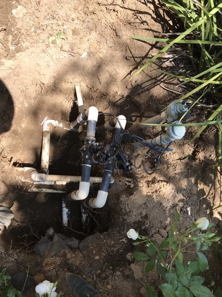 Professional outdoor landscaping in Perris, CA by Greenlife Landscape