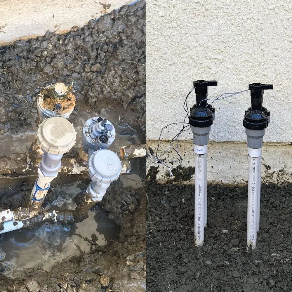 Top-rated landscape installation for year-round maintenance in Perris, CA by Greenlife Landscape