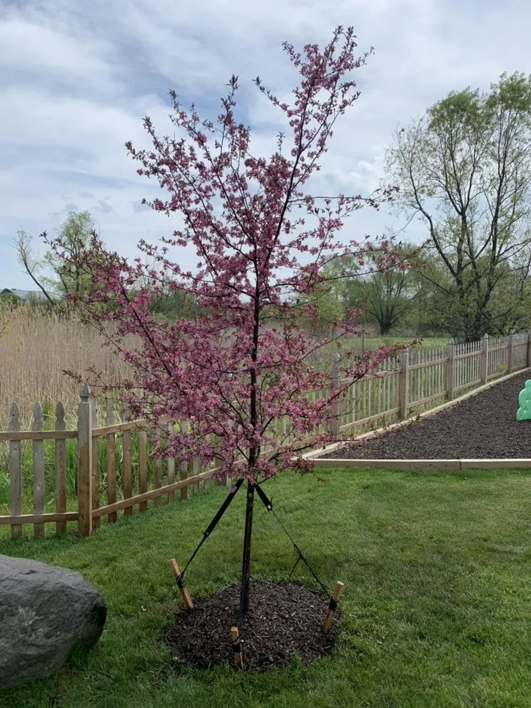 Top-rated yard maintenance for residential properties across New Berlin, WI - GreenLife Landscapes