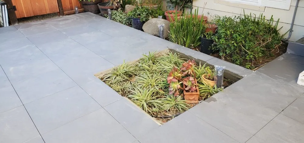 Professional outdoor landscaping for year-round maintenance in San Jose, CA by Greenlife Landscaping Design & Construction