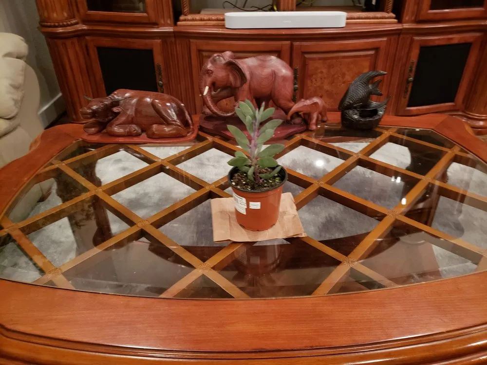 Local landscape installation in Waco, TX - Greenlife Nursery and Landscaping