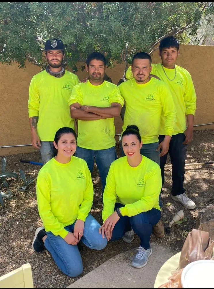 Affordable garden landscaping for beautiful yards in Tucson, AZ by GreenLife Tree & Landscaping