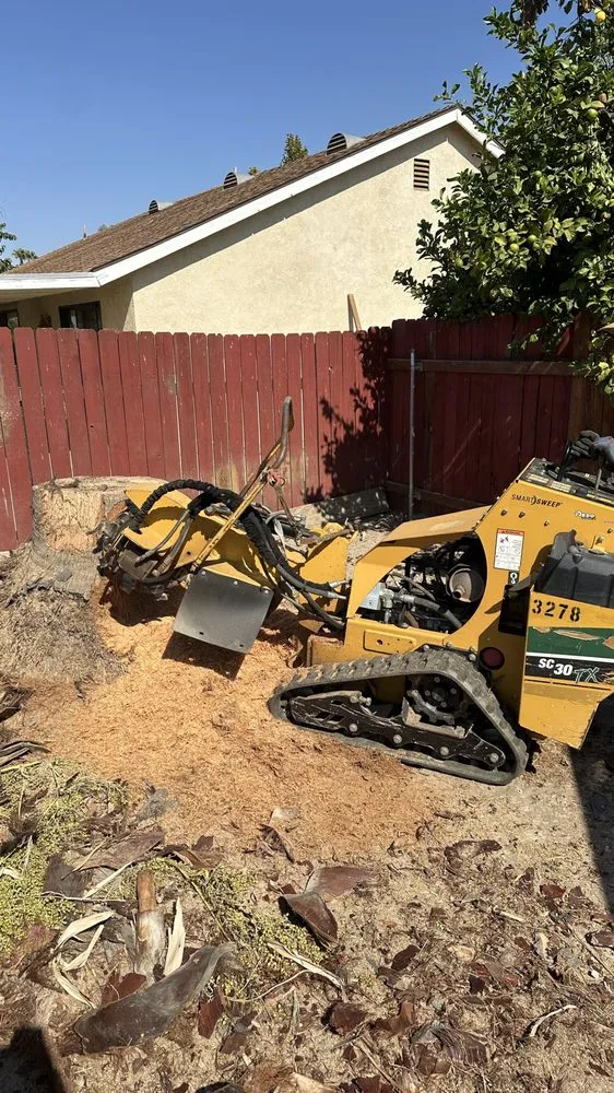 Affordable landscaping services in Moreno Valley, CA - GreenLife Tree Care