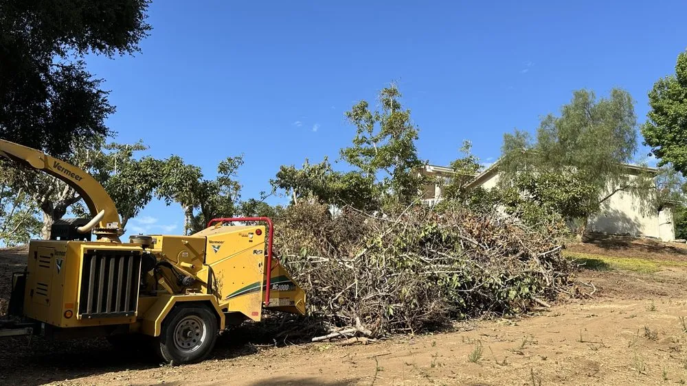 Reliable outdoor landscaping in Moreno Valley, CA - GreenLife Tree Care