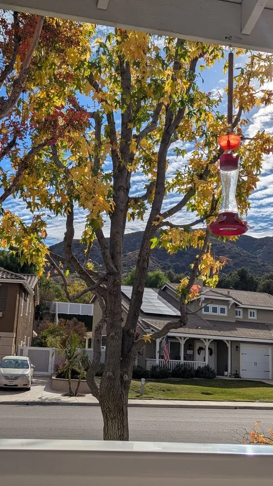 Reliable garden landscaping for homes across Moreno Valley, CA - GreenLife Tree Care