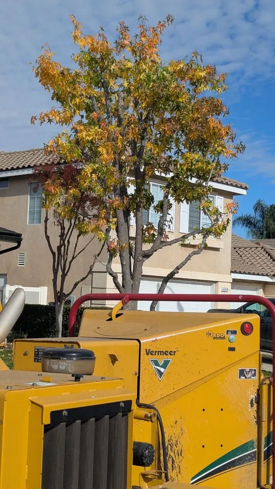 Professional lawn mowing service for beautiful yards across Moreno Valley, CA - GreenLife Tree Care