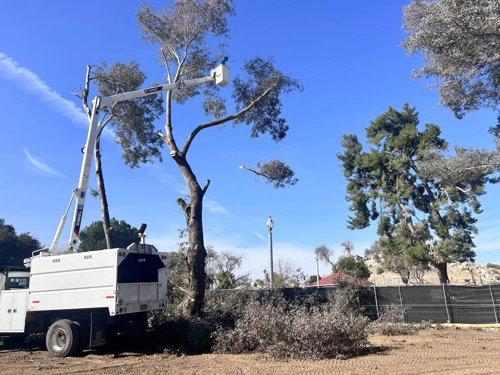 Custom residential landscaping in Moreno Valley, CA - GreenLife Tree Care