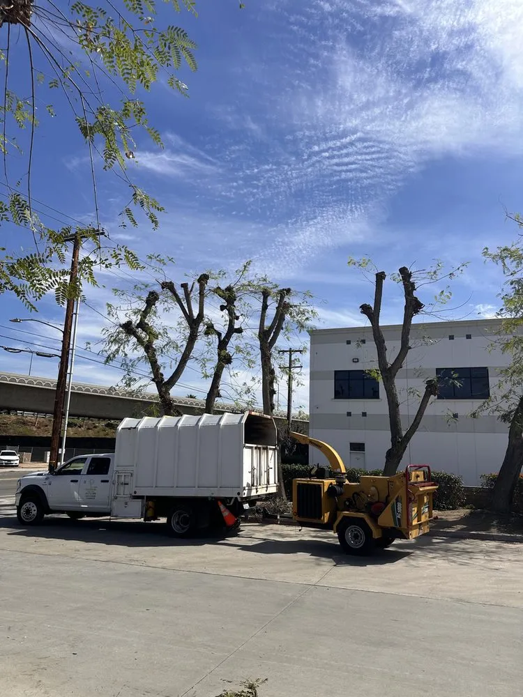 Reliable lawn care service for beautiful yards in Moreno Valley, CA by GreenLife Tree Care