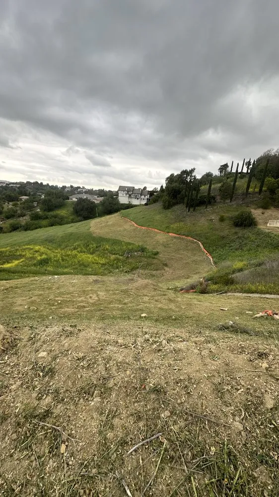 Custom yard cleanup service in Moreno Valley, CA - GreenLife Tree Care