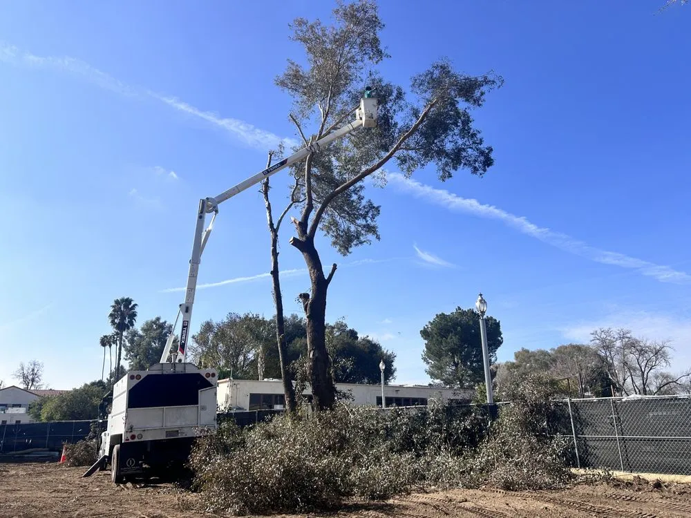 Trusted outdoor landscaping for outdoor upgrades across Moreno Valley, CA - GreenLife Tree Care