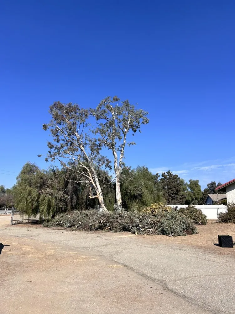 Trusted garden landscaping for year-round maintenance in Moreno Valley, CA by GreenLife Tree Care